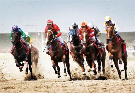 马与世界，2017中国新疆伊犁天马国际旅游节精彩瞬间回顾
