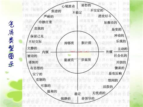 MBTI的16种性格解析 - 知乎