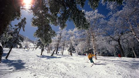 北美大陆的极致滑雪场-冬季旅游完美选择-旅游体验 | GoUSA