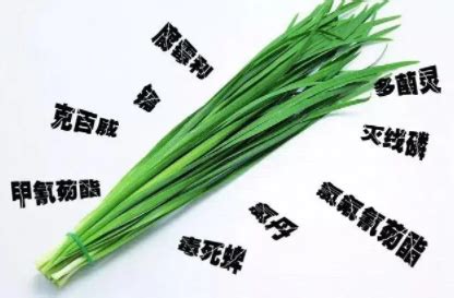 深圳市青辉蔬菜贸易有限公司经营农药残留超过标准限量的韭菜案-中国质量新闻网