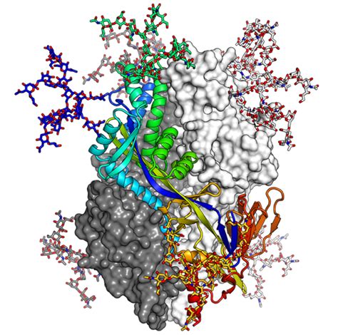 AlphaFold 2再发350000种蛋白质结构预测结果，解锁98.5%人类蛋白质组！-轻识
