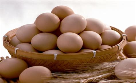 银芝麻：新手要如何掌握并利用鸡蛋期货的季节性规律？ - 知乎