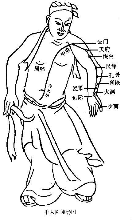 手太阴肺经经络图图片 手太阴肺经经络图图片