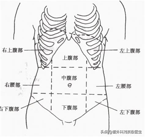 腹部左边疼怎么回事（出现左侧腹部疼，有哪些常见的病因，该咋办？医生给您详细讲清楚） | 说明书网