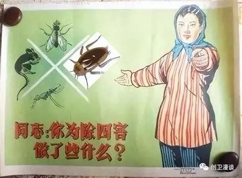 四害是指哪4种 是指苍蝇/蚊子/老鼠/蟑螂(容易传播疾病) - 神奇评测