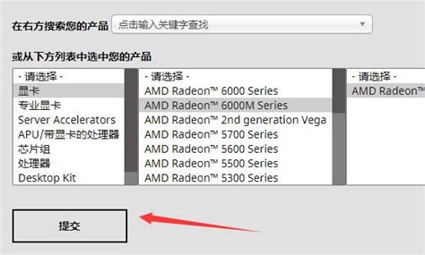 AMD显卡驱动怎么安装？安装AMD显卡驱动的两种方法 - 系统之家
