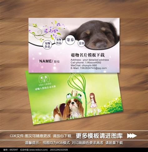 宠物行业蓝皮书：2022中国宠物行业发展报告.pdf | 先导研报