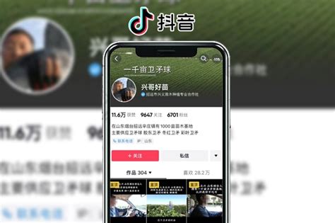 南川app线上推广方案 欢迎咨询「重庆释尊信息科技供应」 - 8684网企业资讯