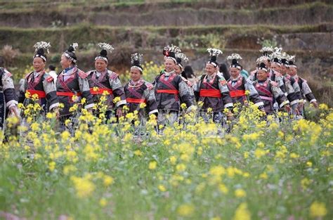 贵州丹寨：茶产业融合发展助力乡村振兴-人民图片网