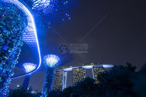 新加坡,20187月12日20187月12日新加坡,夜间海湾旁的花园展示超级树木树林高清图片下载-正版图片300875696-摄图网
