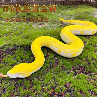 仿真软胶蛇黄金蟒蛇眼镜蛇银环蛇动物模型万圣节整蛊玩具一件代发-阿里巴巴