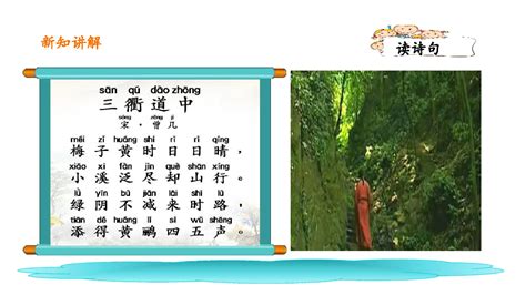 三衢道中古诗写的是什么季节的景色