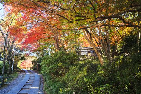 日本的滋贺县(Shiga)古名叫近江国_[标签:标题1]
