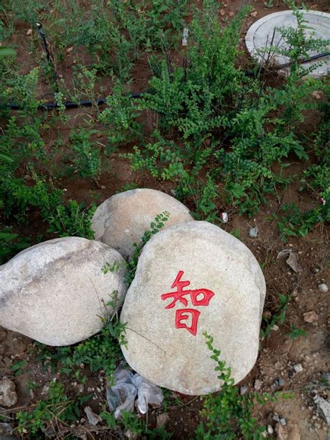 石头昵称,有关石头网名,有石头二字的好网名_大山谷图库