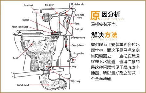 马桶内部结构图图片