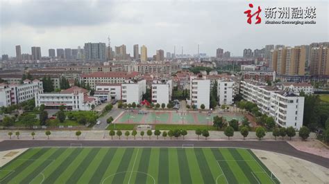 视频新闻-武汉市新洲区人民政府