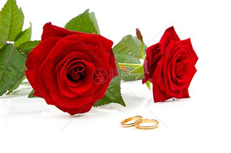 两朵红玫瑰和结婚戒指高清图片下载-正版图片320816945-摄图网