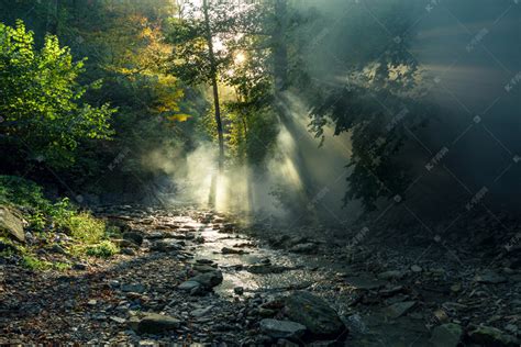 太阳的光线穿过晨雾的一条山涧河流和森林背景让路。如诗如画的森林景观.高清摄影大图-千库网
