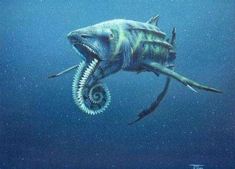 埃及开罗发现“龙王鲸”化石，史前顶级猎食者同类相残|龙王|猎食者|化石_新浪新闻