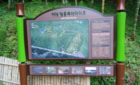 韩国避暑胜地孟宗竹主题公园,线路推荐-8682赴韩整形网