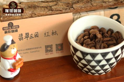 巴拿马瑰夏咖啡豆味道和特点简介 法压壶冲泡翡翠瑰夏红标制作方法分享 中国咖啡网