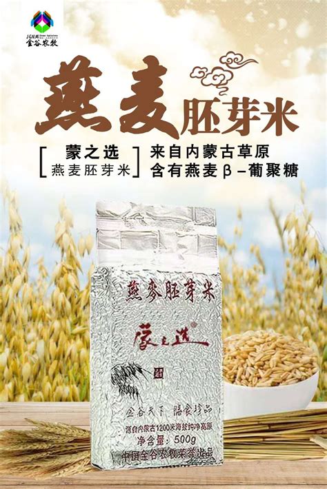 燕麦胚芽米 内蒙古呼和浩特-食品商务网