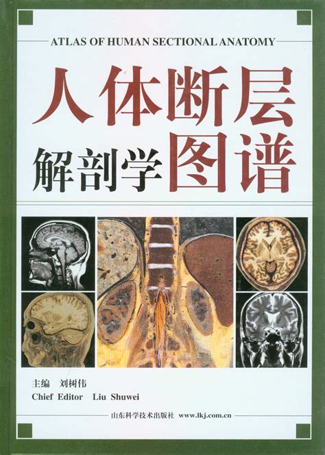 人体解剖学图谱图片
