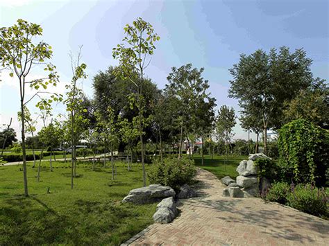 苏州市藏书园林绿化建设有限公司