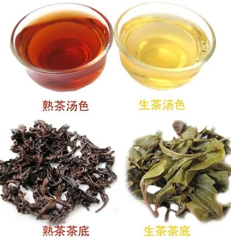 关于普洱茶的六种分类方式，云南普洱茶是如何分类的？-藏锋号古茶