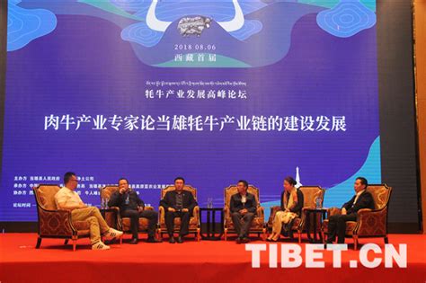 西藏当雄牦牛产业引起国内专家热议——人民政协网