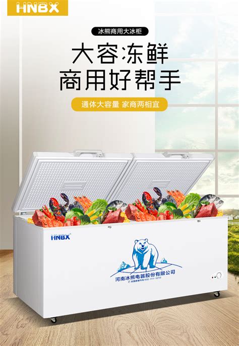 bingxiong冰熊冷柜品牌资料介绍_冰熊冰柜怎么样 - 品牌之家