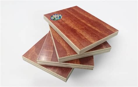广西建筑模板批发厂家：建筑木模板的特点有哪些？_合浦县嘉盛木业有限公司