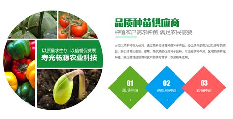 寿光市蔬菜大型网络直播公益活动_澎湃号·媒体_澎湃新闻-The Paper
