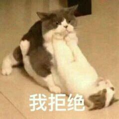 拒绝你表情包图片