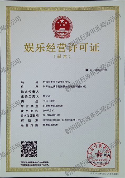 射阳县人民政府 业务工作 娱乐经营许可证公示