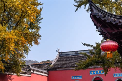 南京市栖霞区人民政府 本周末开始栖霞山红叶将进入最佳观赏期