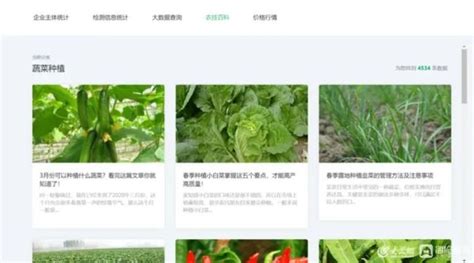 枣庄滕州市搭建智慧农业云平台，实现农业静态数据与动态数据的统一管理_山东站_中华网