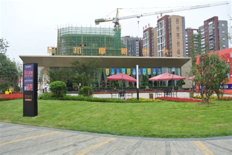 德阳中江县入选我省首批24个县域商业建设行动示范县--四川经济日报