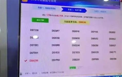 北京网上选车牌号技巧_三思经验网