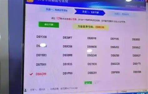 网上自编选车牌号怎么选（网上自编选车牌号技巧） - 拼客号