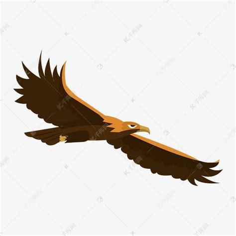 展翅高飞的老鹰素材图片免费下载-千库网