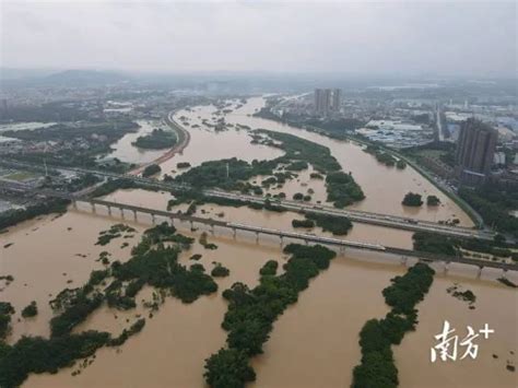 广西多地风大雨急 导致城市内涝大树倒伏-天气图集-中国天气网