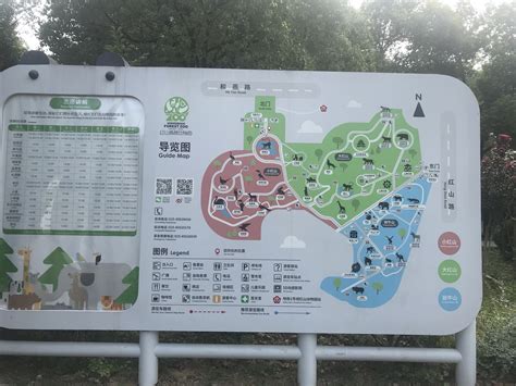 南京红山动物园免费门票领取_旅泊网
