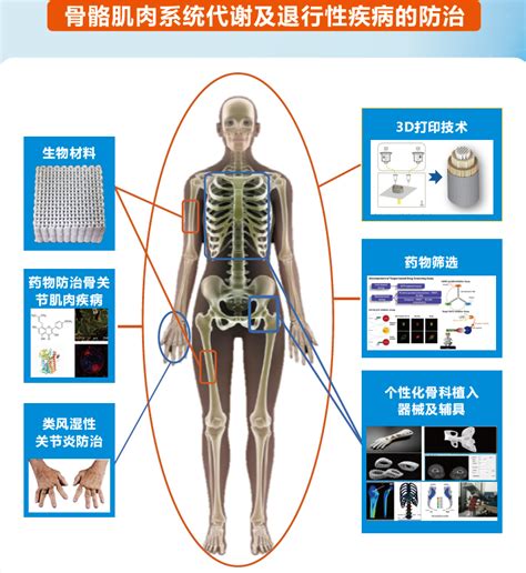 人体解剖学标本考试_word文档在线阅读与下载_免费文档
