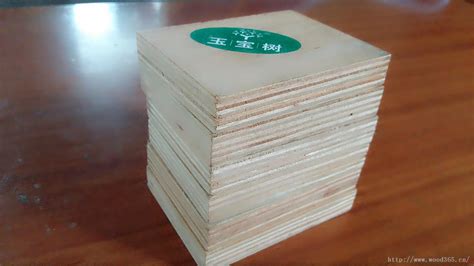 信宜市森洲木业有限公司-中国木业网