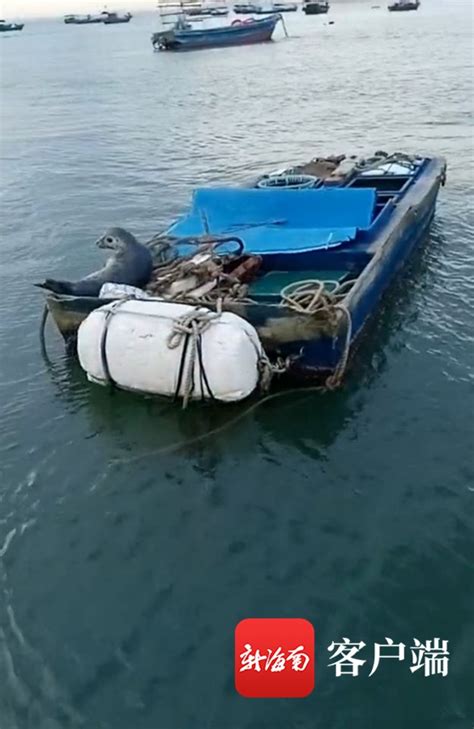 飞行队赶赴漳州海域 救起一个受伤渔民送回厦门 - 社会 - 东南网厦门频道