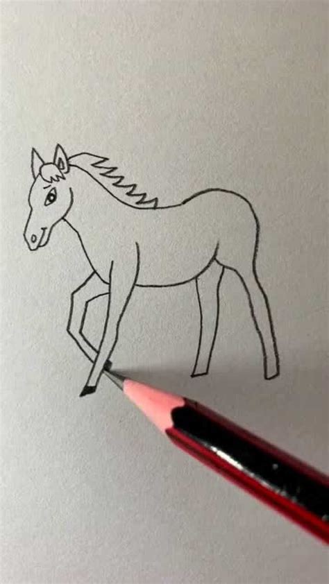简笔画马的画法教程-露西学画画