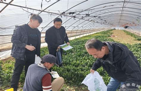 张掖市检测中心在天水市完成省级农产品质量安全例行监测(种植产品)抽样工作(图)--天水在线