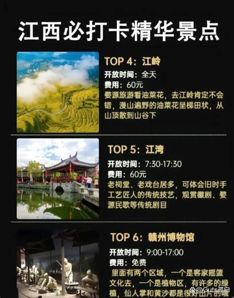 霞山区宣传片口碑推荐 欢迎来电「湛江市影客文化传播供应」 - 水专家B2B