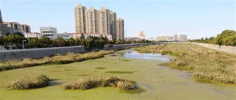 水源地保护刻不容缓——口渴的中国，水源地为何被成批撤销？(4)-国际环保在线